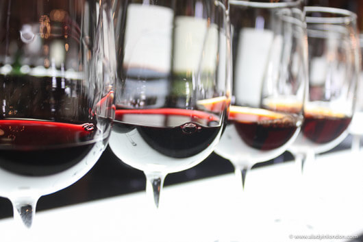 Port tasting in Vila Nova de Gaia