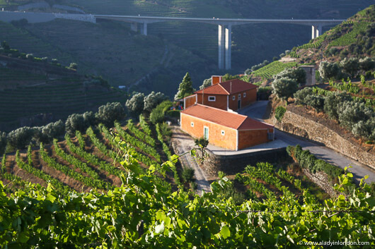 Douro Valley in Portugal