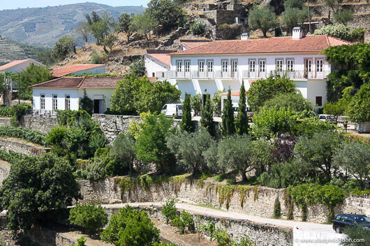 Quinta do Panascal winery in the Douro Valley, Portugal