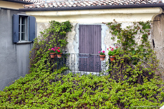Ivy-covered house in San Marino