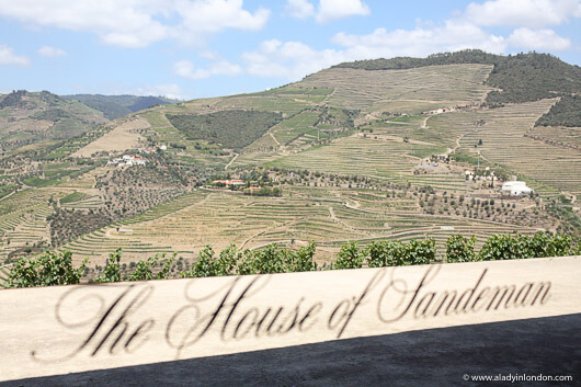 View from Sandman winery in Portugal