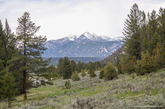 Spanish Peaks from Big Sky, Montana