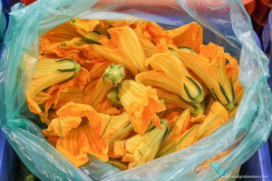 Squash Blossoms in Cyprus