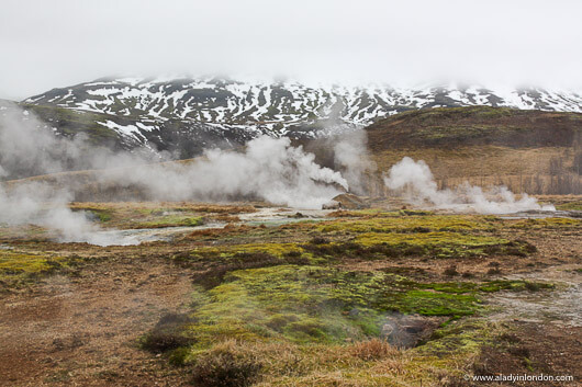 Steam vents in Iceland