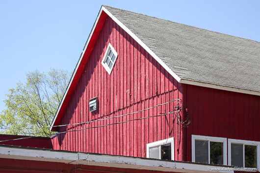 Red Barn at Saint Croix Vineyards in Minnesota