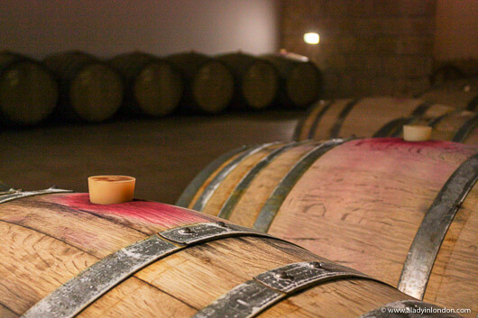 Wine Barrels at Vouni Panagias Winery in Cyprus