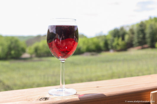 Wine Tasting at Falconer Vineyards in Red Wing, Minnesota