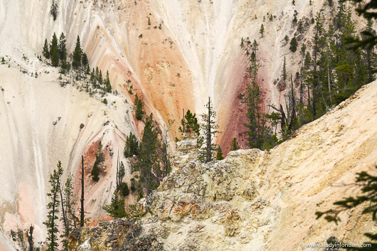Yellowstone Grand Canyon