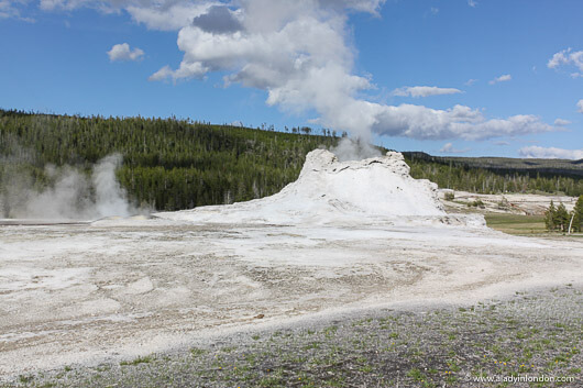Geyser on a Yellowstone National Park Tour