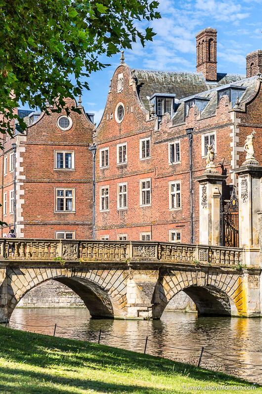 The Backs and the River Cam on a self-guided walking tour of Cambridge