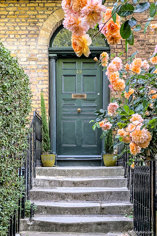 London Rose Garden with a Door