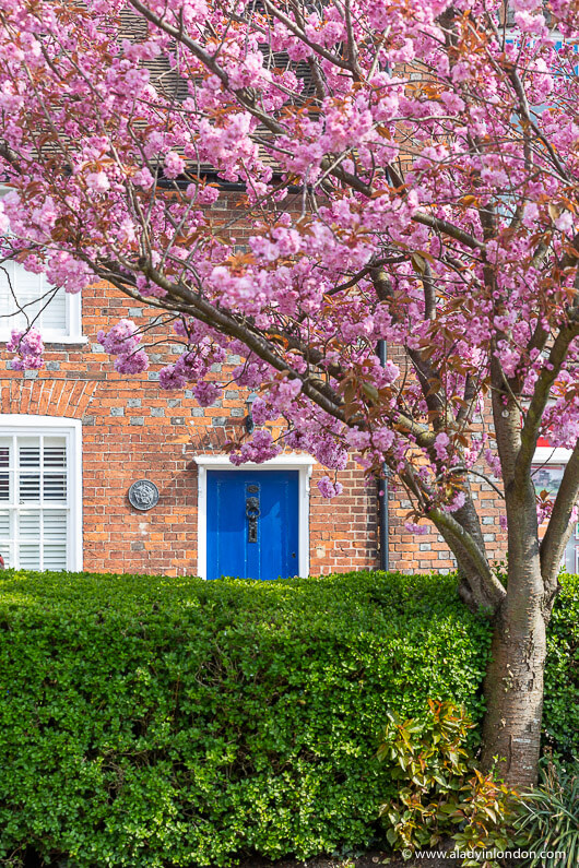 St Albans House