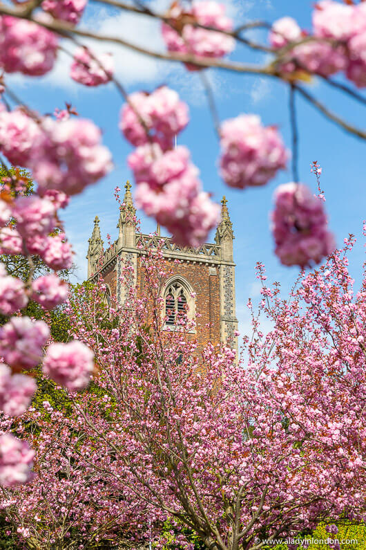 St Peter's Church, St Albans