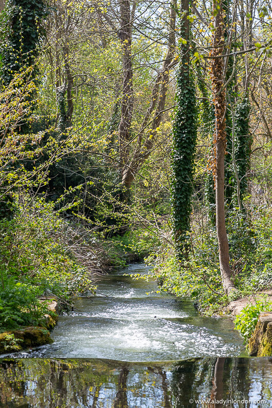 Going to Verulamium Park is one of the best things to do in St Albans