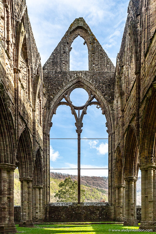 Tintern Abbey Ruins in the Wye Valley