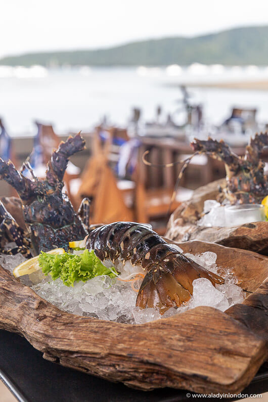 Lobster in Phuket
