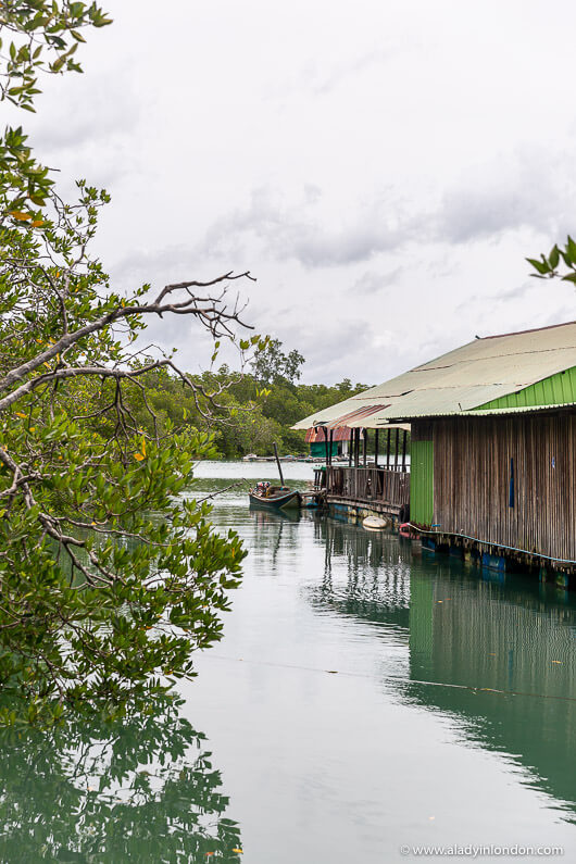 Phuket River