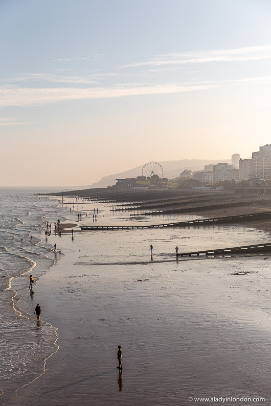 Eastbourne Beach View