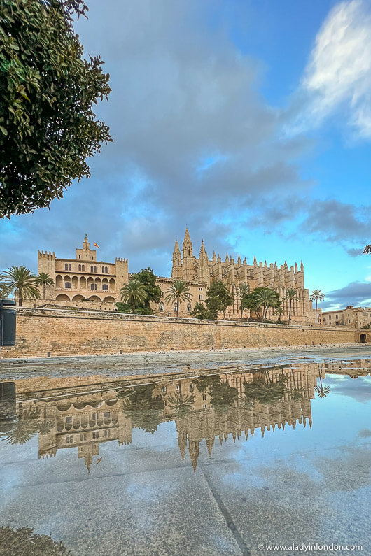 Cathedral and Palace in Palma de Mallorca