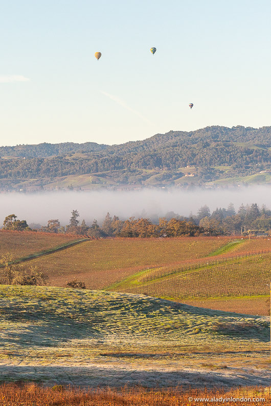 Napa Valley Hot Air Balloons