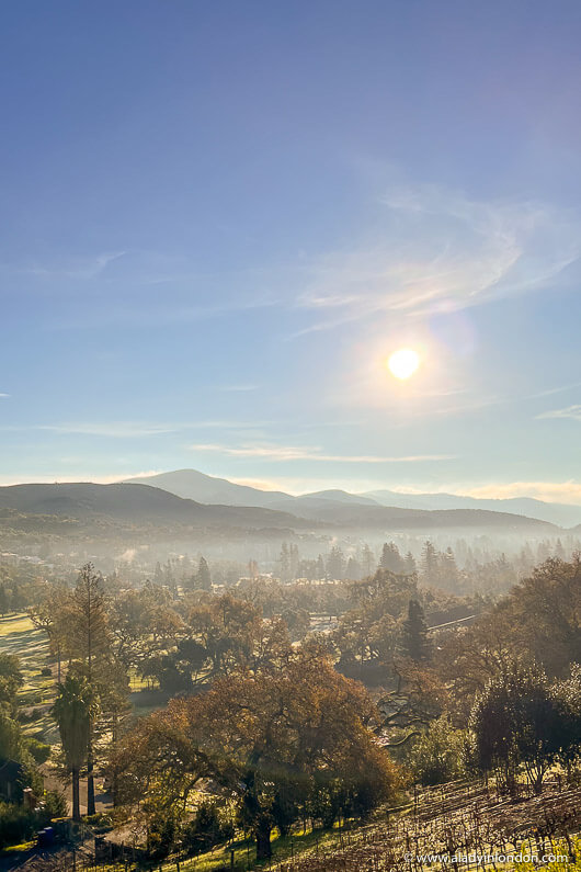 Napa Valley View