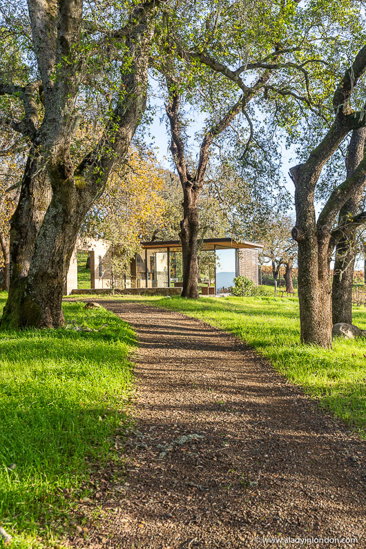 Quintessa, Napa Valley