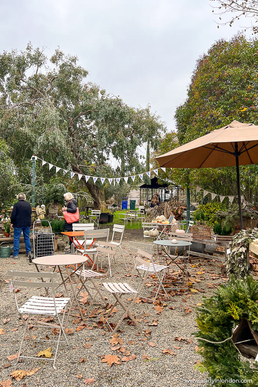 Sonoma Shop Garden
