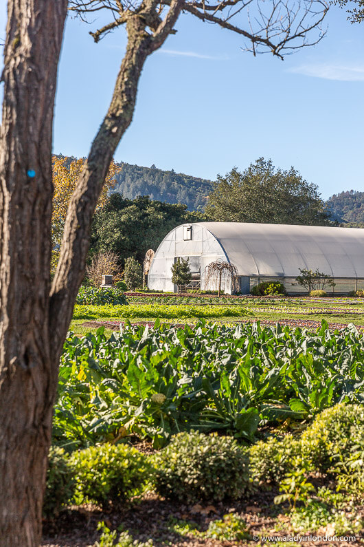 The French Laundry Garden
