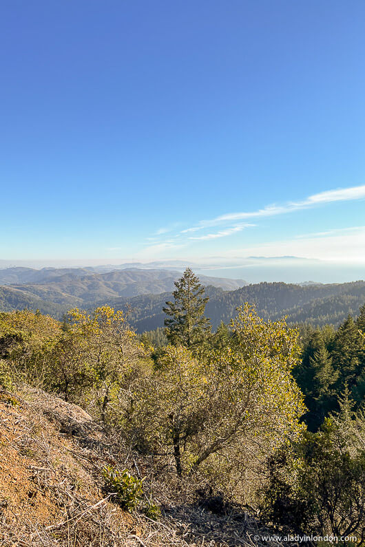 Mount Tam View on a Day Trip from San Francisco