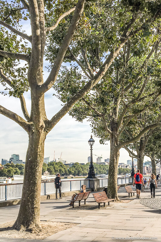 South Bank Thames walk in London