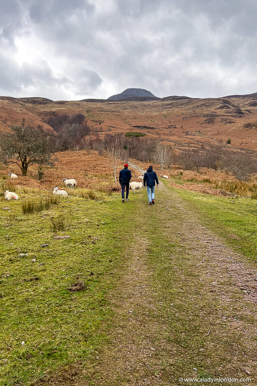 Pap of Glencoe Walkers