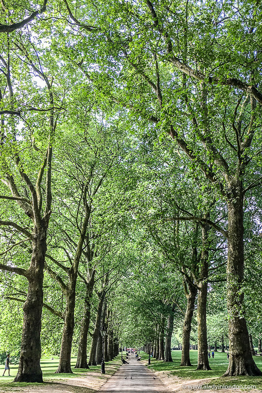 Green Park, London