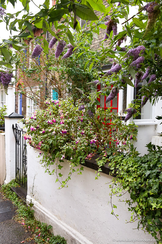 Brighton Lane