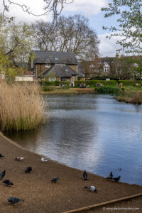Barnes, London - A Beautiful Area Guide