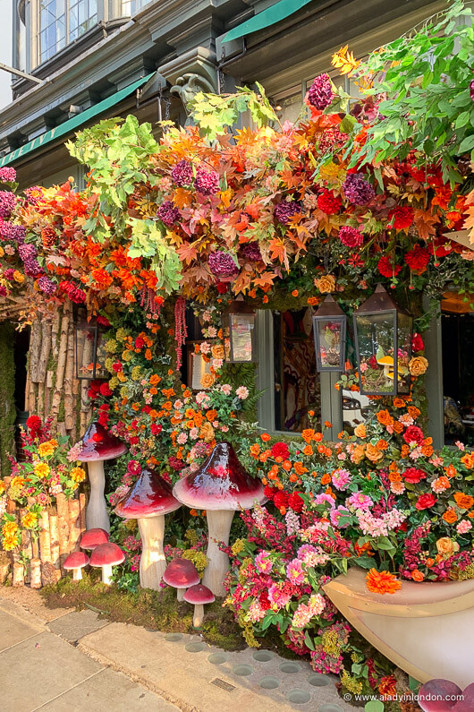 Chelsea in Bloom