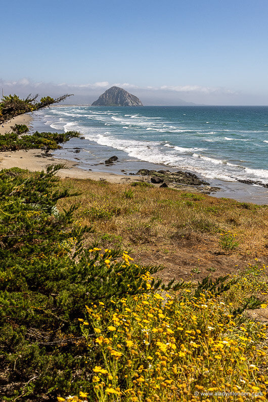Morro Rock