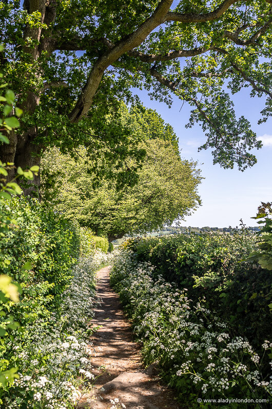 Amersham footpath