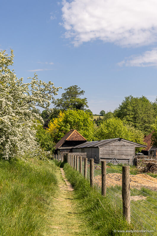 Ivy House Farm