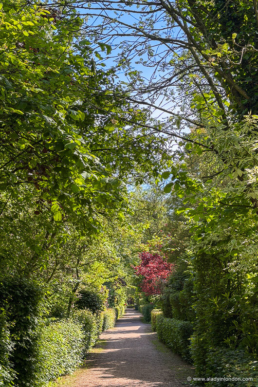 Amsterdam garden